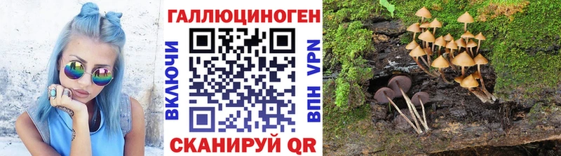Псилоцибиновые грибы GOLDEN TEACHER  Аткарск 
